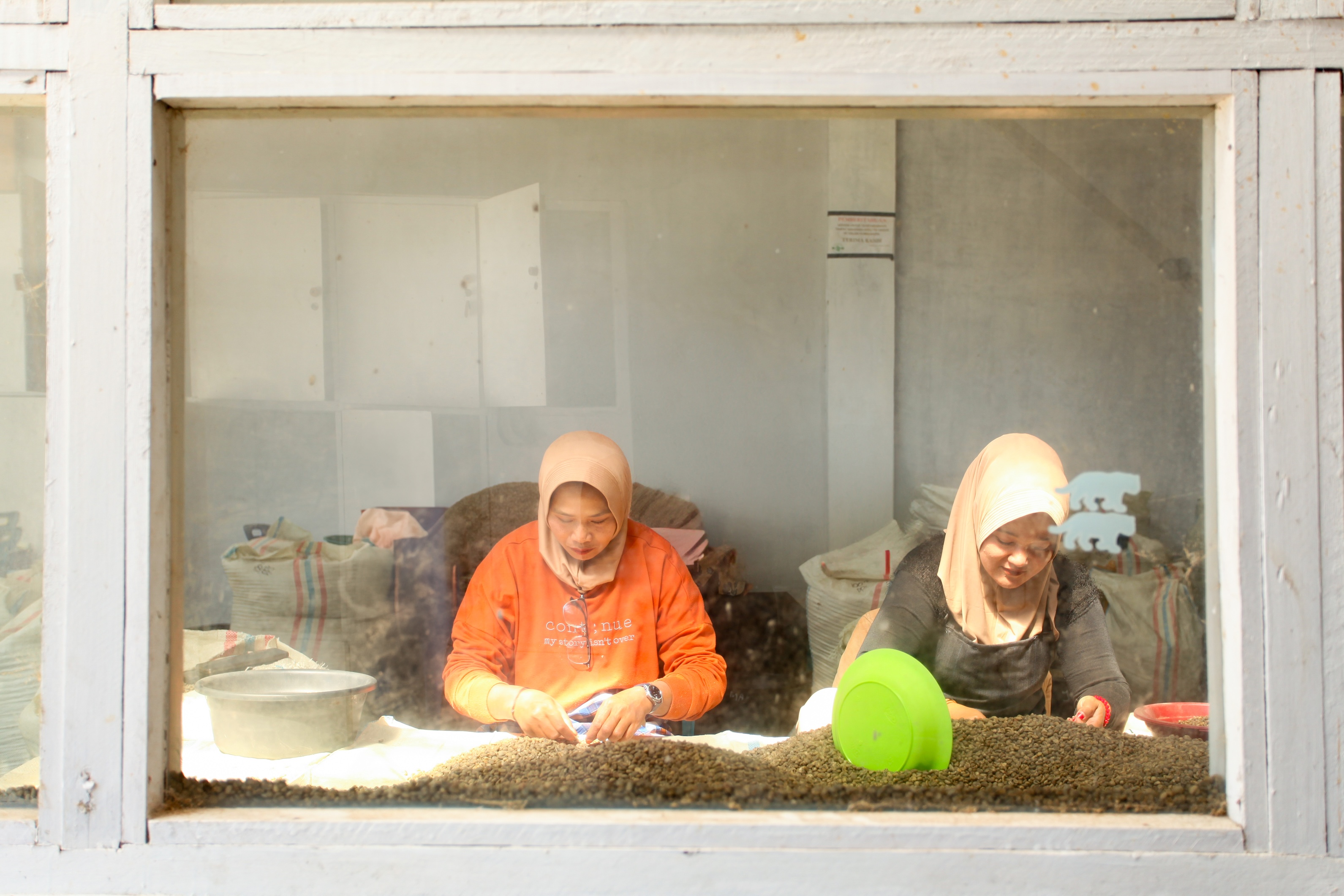 women sorting coffee