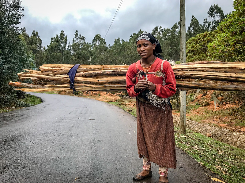 Ethiopian woman with firewood on her back