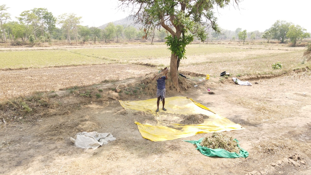 Man in field - FOLUR India