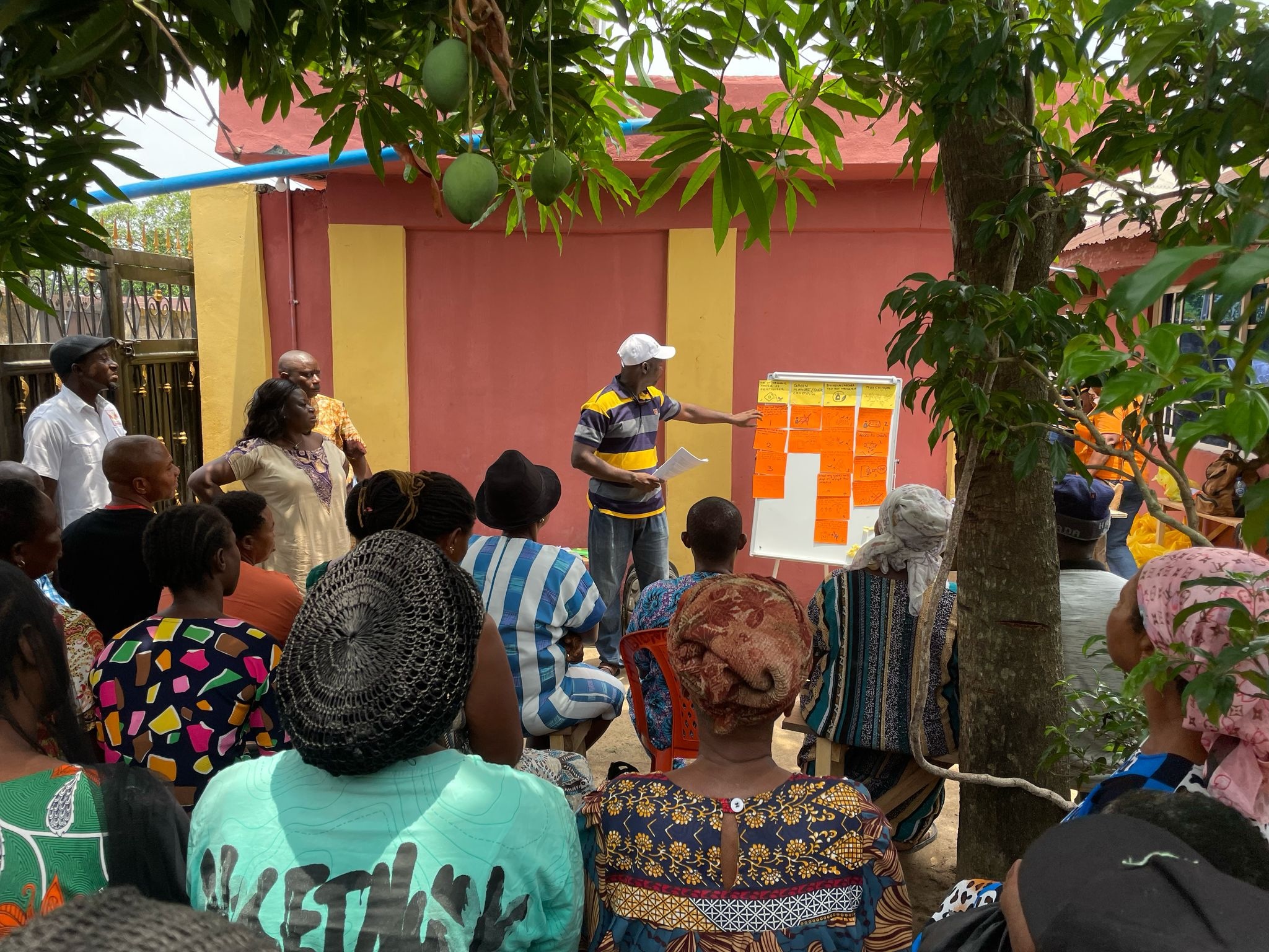Training of facilitators on the PILA Behavioural Change Assessment. 21 March, 2025. Photo credit: Annabelle Buhrow, FAO’s Plant Production and Protection Division.