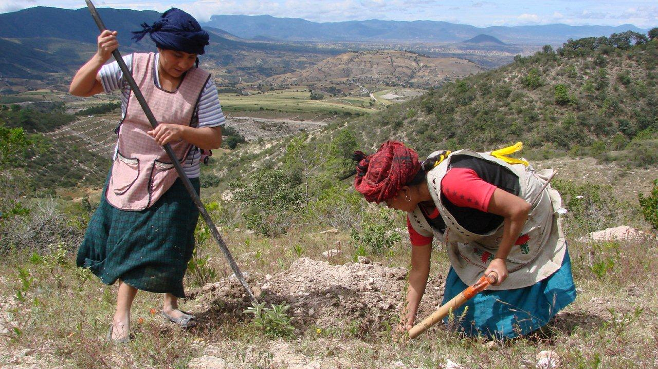 Women planting trees in Mexico. FOLUR/Katharina Siegmann