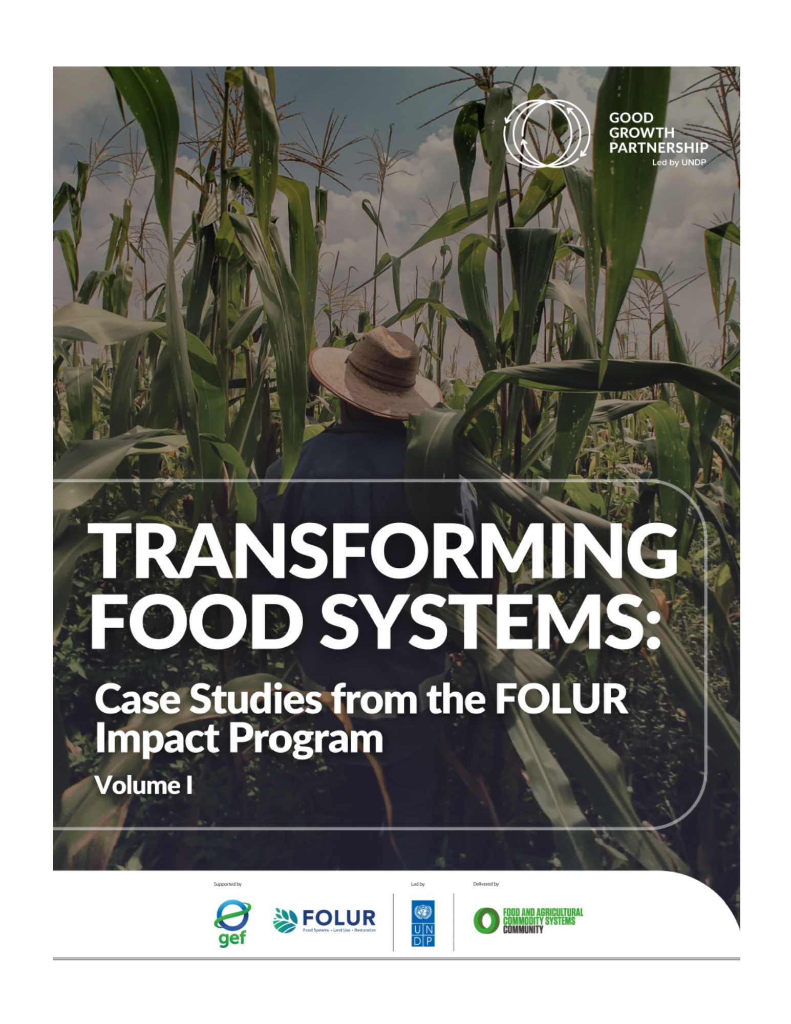 report cover