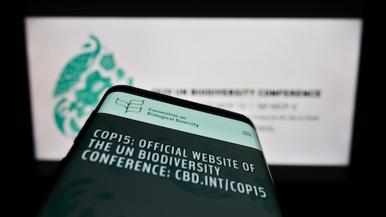 image of branding for COP15