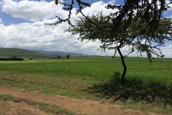 Ethiopia. Photo: Natalia Cieslik / World Bank