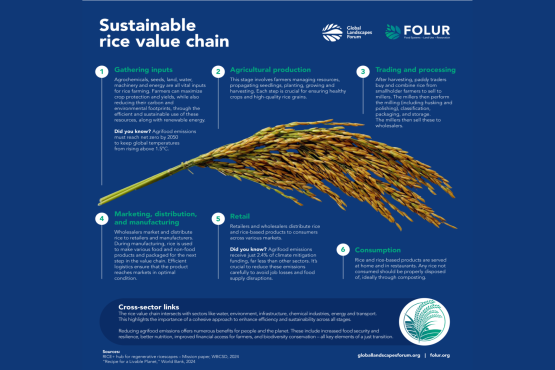 infographic