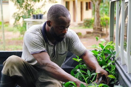Loading tree seedlings into a truck to be transported to nearby communities
