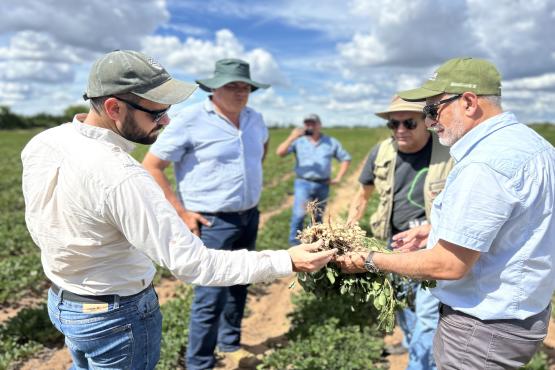 Staff at a cattle ranch in the Chaco region implement preventive management measures to mitigate conflict between livestock and large felines. Through monitoring, the use of technology, and the adoption of good anti-predator management practices, it is demonstrated that it is possible to protect livestock productivity and safeguard wildlife.
