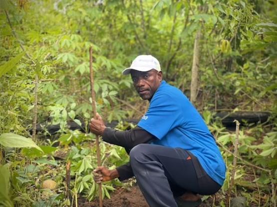 Tree seedling planting at the Akamkpa restoration sites