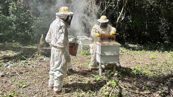 Indigenous communities of the Chaco and the BAAPA are strengthening the sustainable management of their lands through the FOLUR Paraguay project. These actions are fundamental to ensuring biodiversity conservation, food security, and resilience.