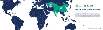 FOLUR corn countries