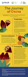 Journey of cocoa
