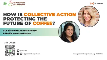 How is collective action protecting the future of coffee?