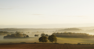 From global commitments to national action: A closer look at Nationally Determined Contributions from a food and land perspective