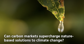 Can carbon markets supercharge nature-based solutions to climate change?