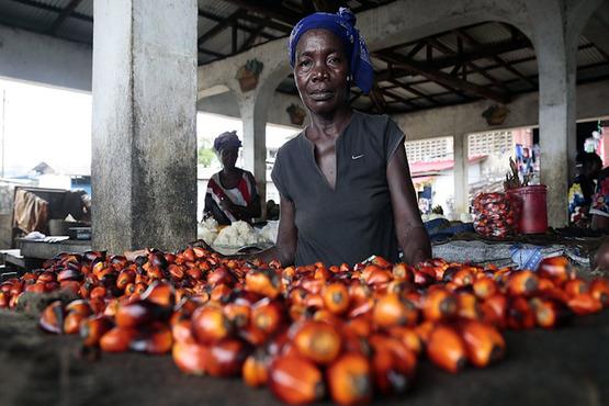 Vendor selling palm seed oil. Photo credit: Nyani Quarmyne/IFC (Panos)